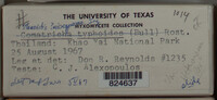 Image Associated With the Occurence